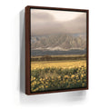 Featured image 10 for Yellow Flowers Field, Maui