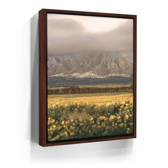 Featured image 10 for Yellow Flowers Field, Maui