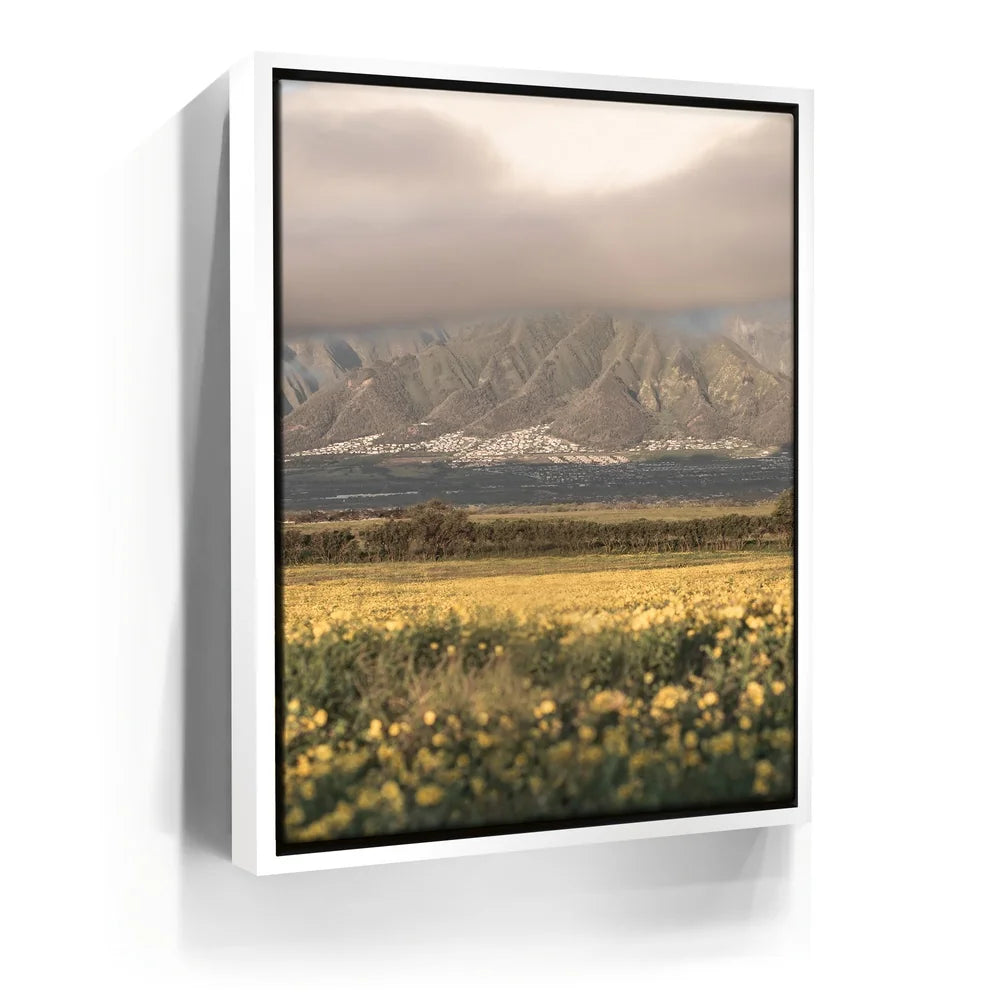 Featured image 6 for Yellow Flowers Field, Maui