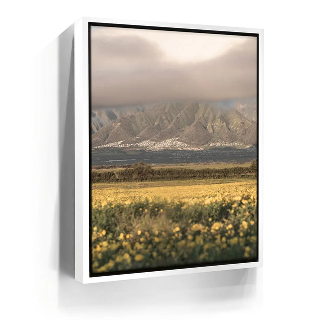 Featured image 6 for Yellow Flowers Field, Maui