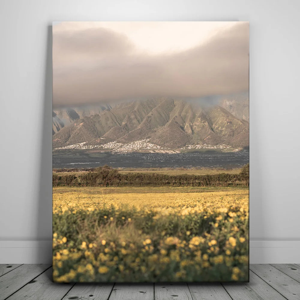 Featured image 1 for Yellow Flowers Field, Maui