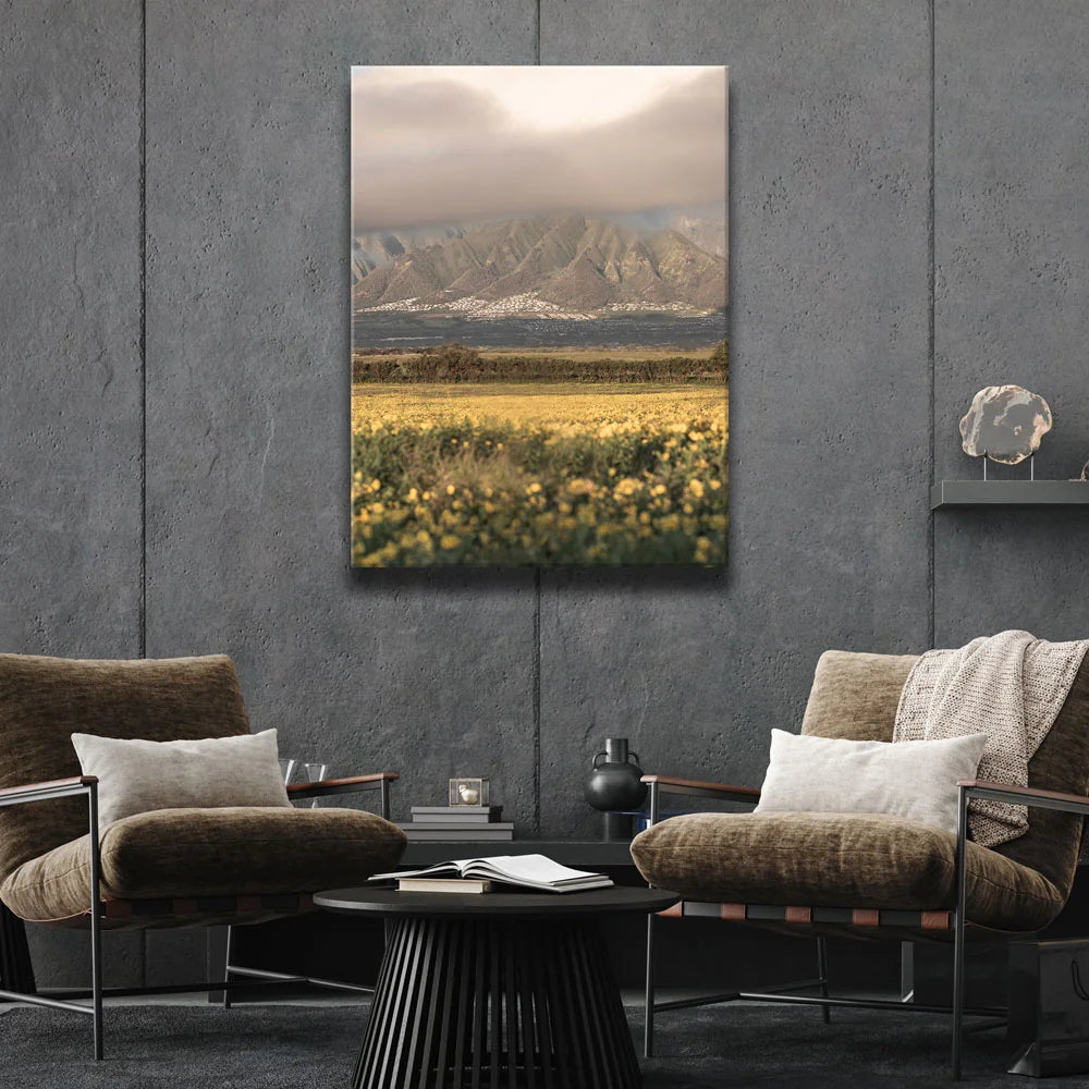 Featured image 2 for Yellow Flowers Field, Maui