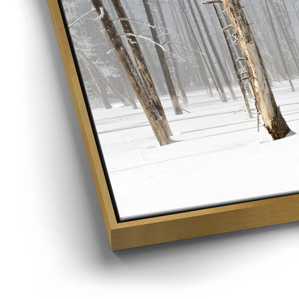 Featured image 12 for Yellowstone Winter Watch
