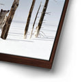 Thumbnail image 14 for Yellowstone Winter Watch