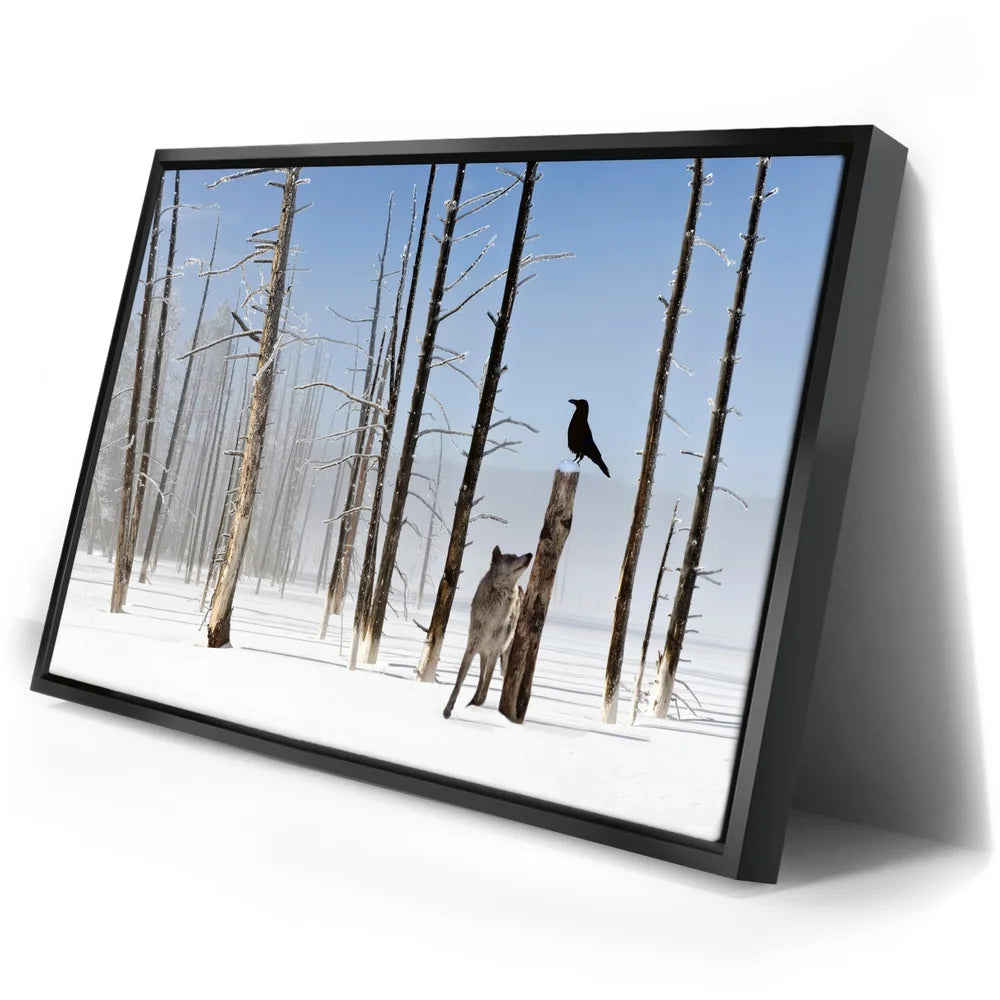 Featured image 2 for Yellowstone Winter Watch