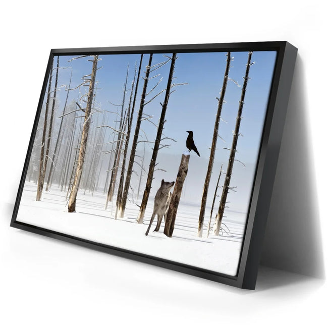 Featured image 2 for Yellowstone Winter Watch