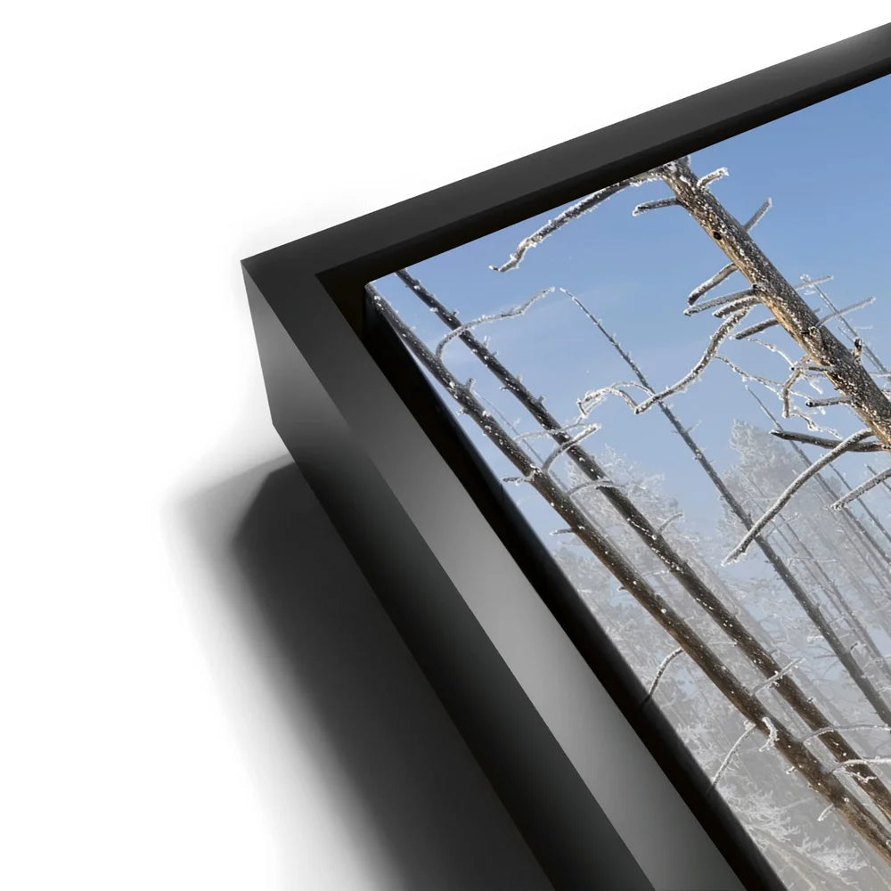 Featured image 11 for Yellowstone Winter Watch
