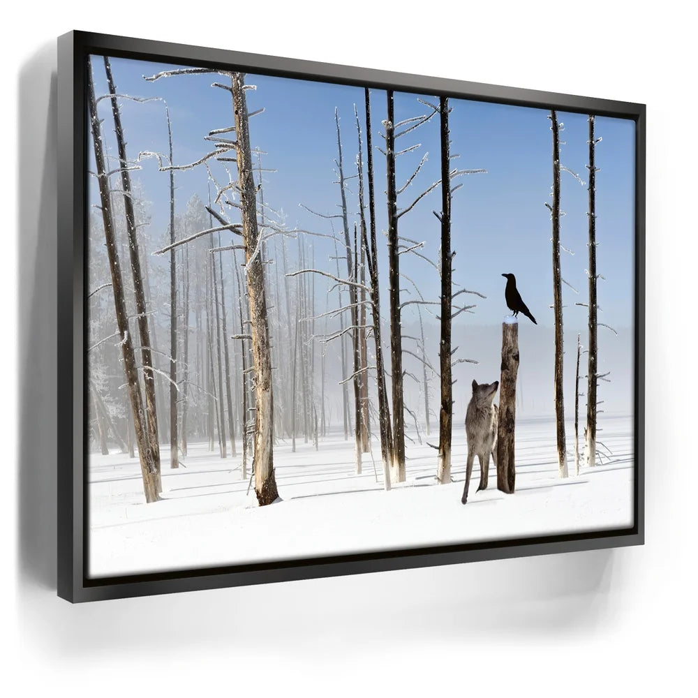 Featured image 5 for Yellowstone Winter Watch