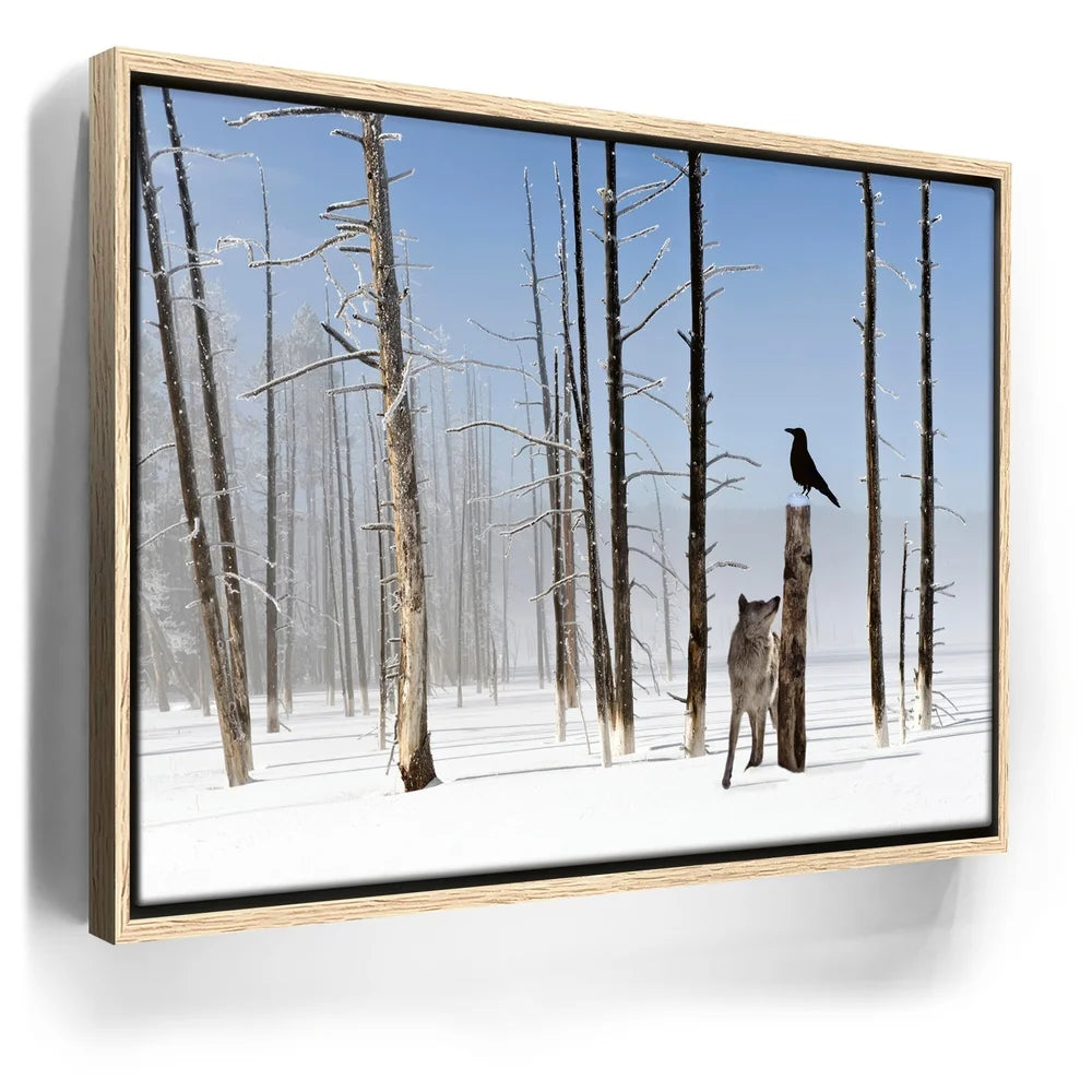 Featured image 9 for Yellowstone Winter Watch