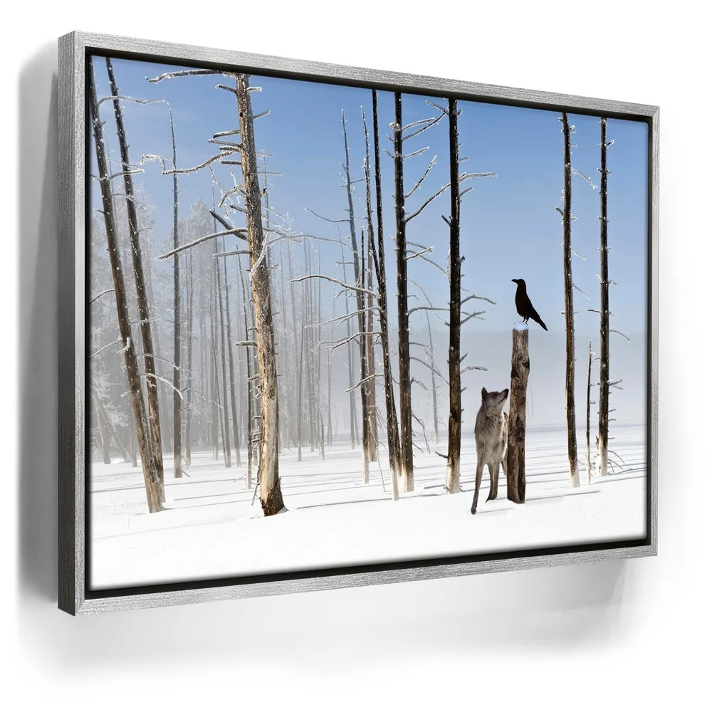 Featured image 8 for Yellowstone Winter Watch