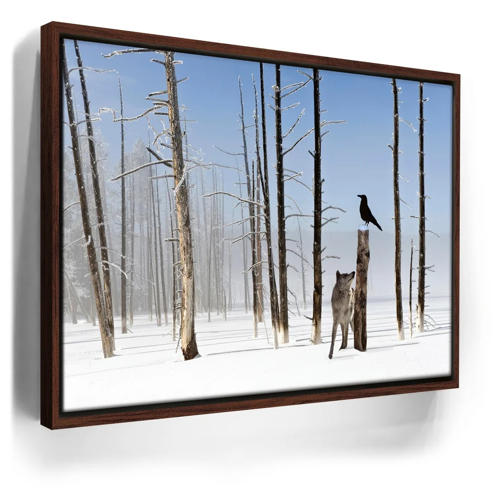 Featured image 10 for Yellowstone Winter Watch
