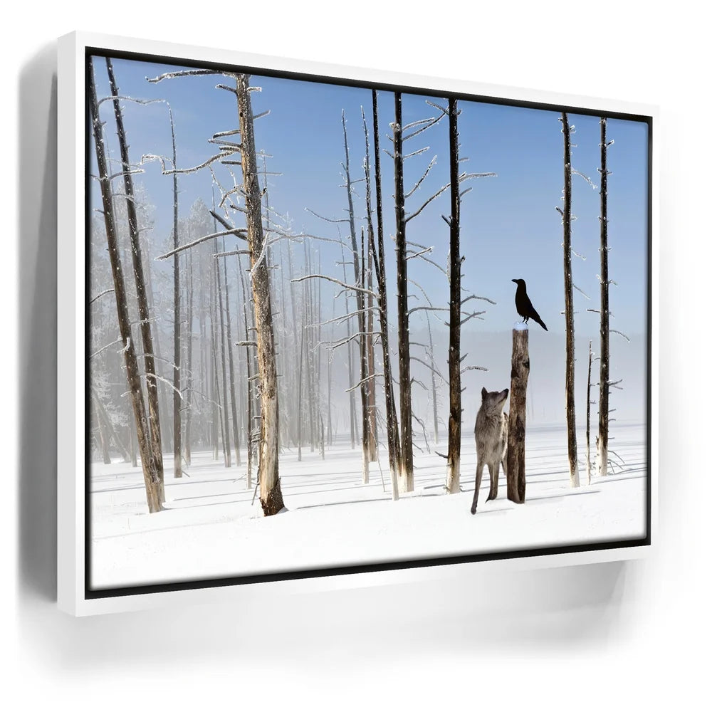 Featured image 6 for Yellowstone Winter Watch