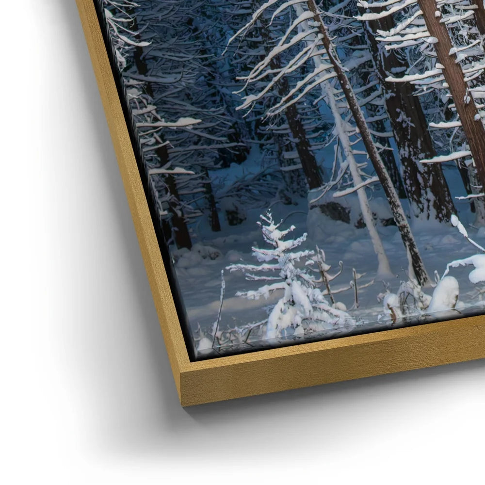 Featured image 12 for Yosemite Snowfall