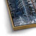 Thumbnail image 12 for Yosemite Snowfall