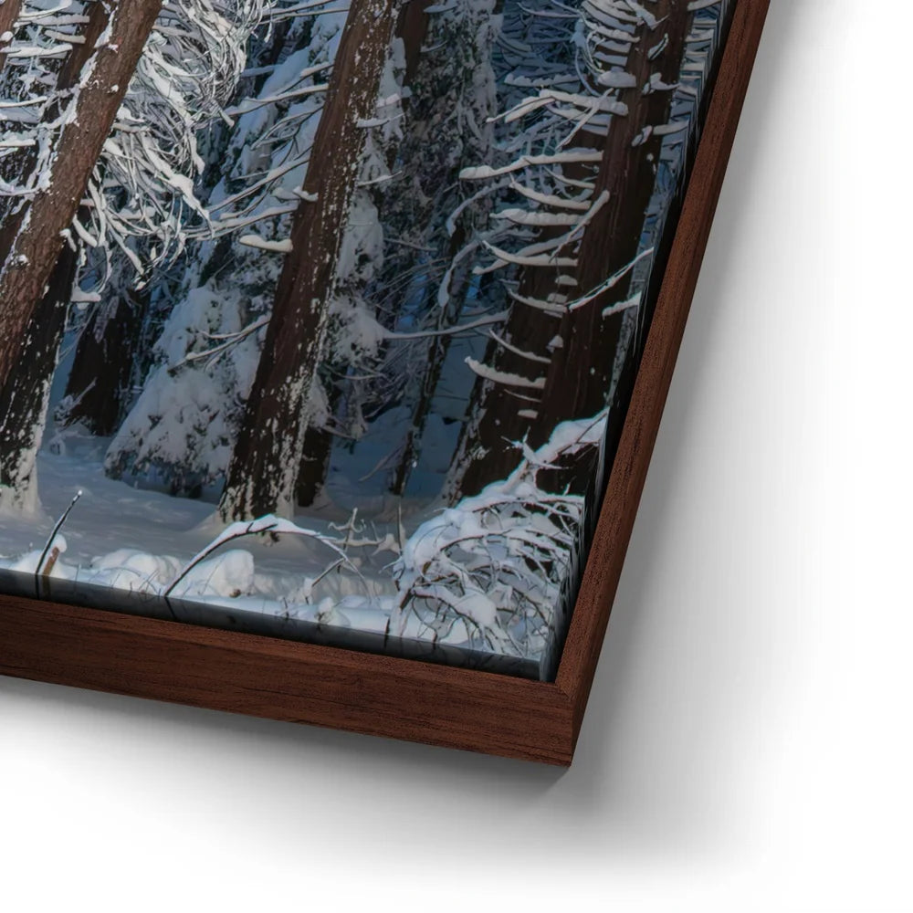 Featured image 14 for Yosemite Snowfall