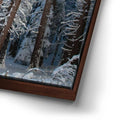 Thumbnail image 14 for Yosemite Snowfall