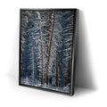 Thumbnail image 2 for Yosemite Snowfall
