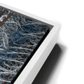 Thumbnail image 13 for Yosemite Snowfall