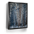 Featured image 5 for Yosemite Snowfall