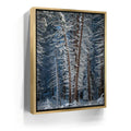 Featured image 7 for Yosemite Snowfall