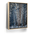 Featured image 9 for Yosemite Snowfall