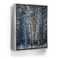 Featured image 8 for Yosemite Snowfall