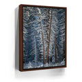Featured image 10 for Yosemite Snowfall