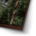 Thumbnail image 15 for Yosemite Falls – Yosemite National Park