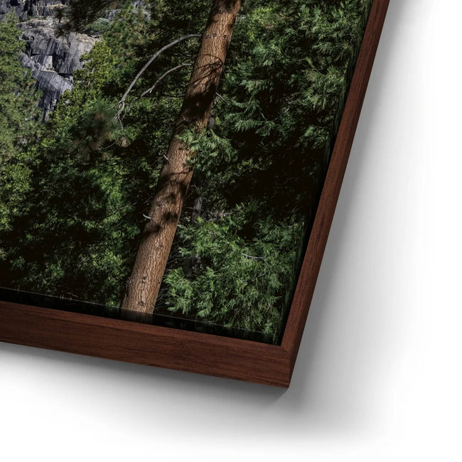 Featured image 15 for Yosemite Falls – Yosemite National Park