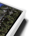Thumbnail image 14 for Yosemite Falls – Yosemite National Park