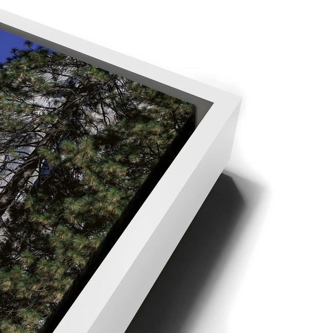 Featured image 14 for Yosemite Falls – Yosemite National Park