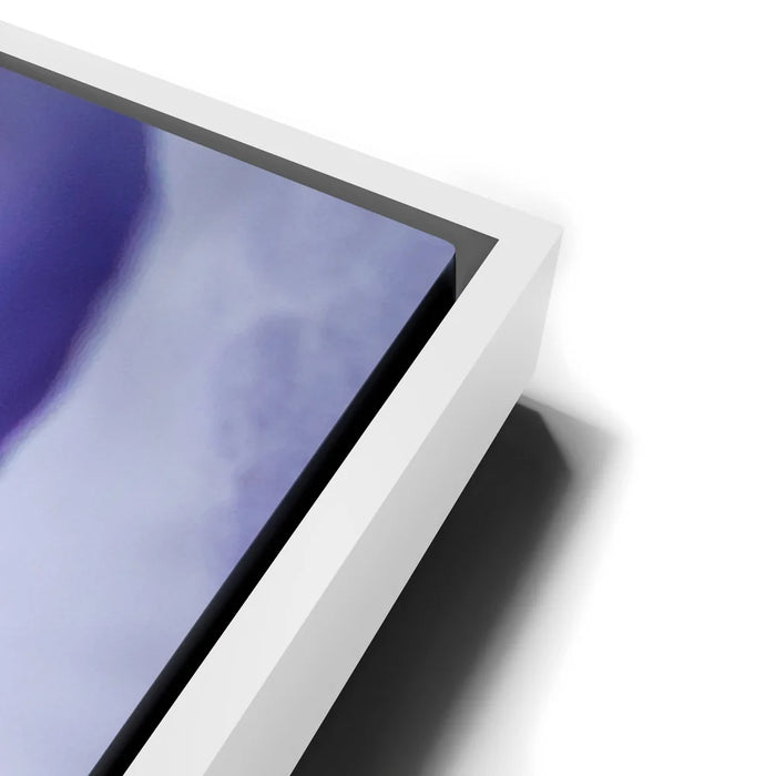 Featured image 13 for Zebra