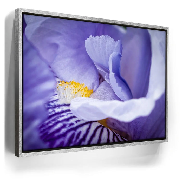 Featured image 8 for Zebra