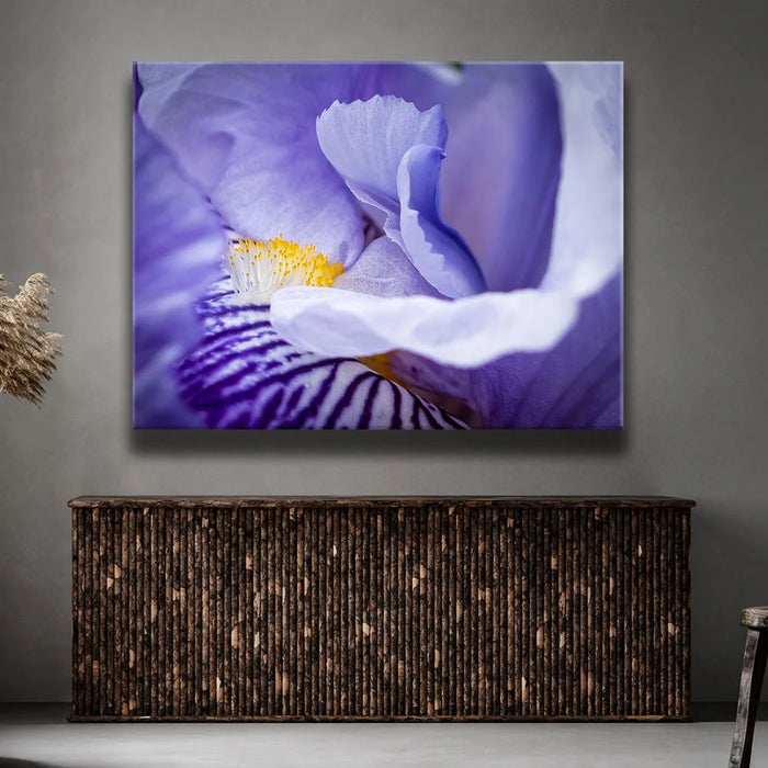 Featured image 2 for Zebra